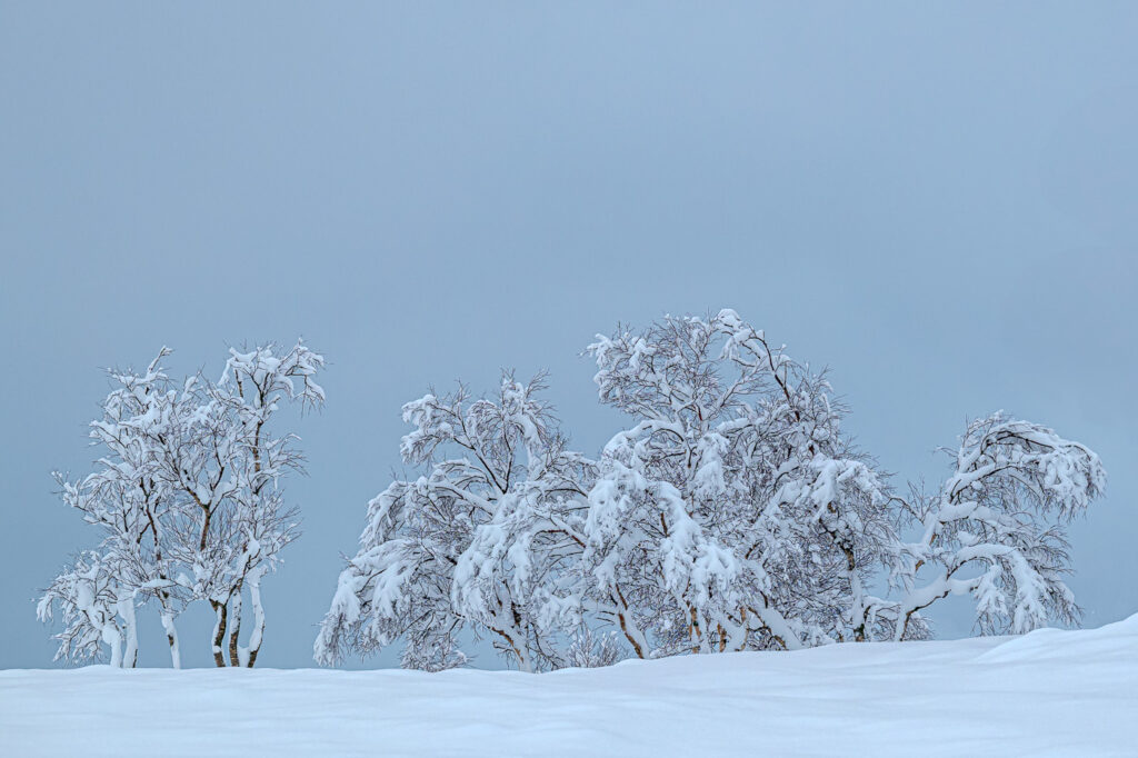 thomas zilch fotografie 20250218 082605 bearbeitet